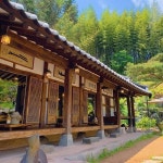 백년한옥에 앉아 대나무 향기와 커피 향기를 함께 느낄수 있는 곳 - Soul Lounge - 소울드레서 (SoulDresser) 소울드레서 (SoulDresser)