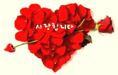 눈으로 쓰는 겨울 편지(백설 편지) - 리울샘 글 : 시 - 행복한 변화, 새로운 교육세상 (리울 샘 모꼬지) 눈으로 쓰는 겨울 편지(백설 편지)