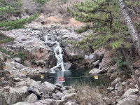 장산 - 다녀온 여행지 - ★부산 맛집기행★ 장산