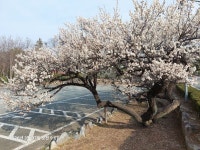 해운대 재송동 장산국밥 - 지금 먹고있어요 - ★부산 맛집기행★ 해운대 재송동 장산국밥