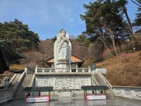 20260327~28화엄사-노고단-산동마을 - 다녀온 여행지 - ★부산 맛집기행★ 20260327~28화엄사-노고단-산동마을