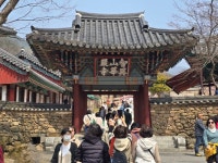 20260327~28화엄사-노고단-산동마을 - 다녀온 여행지 - ★부산 맛집기행★ 20260327~28화엄사-노고단-산동마을