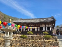 20260327~28화엄사-노고단-산동마을 - 다녀온 여행지 - ★부산 맛집기행★ 20260327~28화엄사-노고단-산동마을