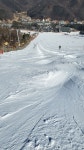 1/31 지산모글 - 전국모글코스정보 - 모글제국 SMX 1/31 지산모글