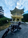 불영계곡 그리고 울진에서 - 【 일상적인 이야기들....】★--H☆D--★ - Harley-Davidson 불영계곡 그리고 울진에서