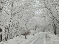 겨울왕국! 신년 소백산 산행 - 가야지 사랑방 - 부산교사마라톤 가야지 겨울왕국! 신년 소백산 산행