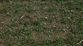 10월의 농장 사진 - 농장소식 - 월정유기농장(正心園) 010-7266-0842 10월의 농장 사진