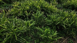 10월의 농장 사진 - 농장소식 - 월정유기농장(正心園) 010-7266-0842 10월의 농장 사진