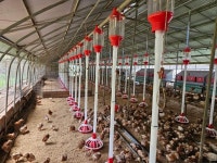 3월과 4월의 농장사진 - 농장소식 - 월정유기농장(正心園) 010-7266-0842 3월과 4월의 농장사진