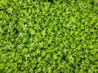 3월과 4월의 농장사진 - 농장소식 - 월정유기농장(正心園) 010-7266-0842 3월과 4월의 농장사진