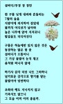 섬바디 - 312 … (정정민님) - 새로운 삶 인생 사랑 (새삶나눔터) 섬바디