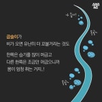 어렸을 때는 직모였는데, 지금은 곱슬? 가능해? - 악플달면... 차분한 20대들의 알흠다운 공간 어렸을 때는 직모였는데, 지금은 곱슬? 가능해?