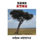 로켓배송 - 엽기사진실 - 이종격투기 로켓배송