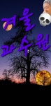 겨울 과수원 / 신 진 - 시와 사진과 음악 - 푸른 시의 방 겨울 과수원 / 신 진