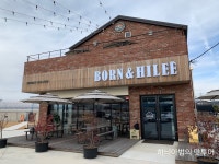 제주도 감성~ 한라봉 황금향 레몬 농장이 있는 카페~ 용진 본앤하이리... 맛집 제주도 감성~ 한라봉 황금향 레몬 농장이 있는 카페~ 용진 본앤하이리