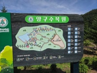 26년7월12일 강원 인제 산솔봉 산행 - 정기산행 산행사진모음 - 송파 산악회 26년7월12일 강원 인제 산솔봉 산행