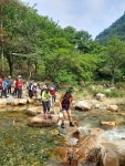 20220710 양평소리산 물놀이산행 - 정기산행 산행사진모음 - 송파 산악회 20220710 양평소리산 물놀이산행