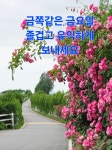 이모티.나 - ♡.함께한사진 - 주생초등학교 제42회 동창모임 이모티.나