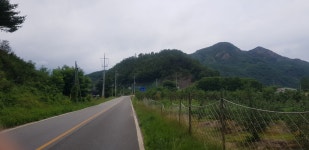 노2 - ♡.여행.사진포토방♡ - 주생초등학교 제42회 동창모임 노2