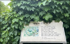 Re: 27일(토)_ 박경리문학공원 관람 후 정선동강끝까지 난생첫차박. - 국내틈새여행&사진외 - 거문고선녀 Re: 27일(토)_ 박경리문학공원 관람 후... 