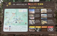 20230317_임실옥정호 붕어섬과 구례산수유마을 - 국내틈새여행&사진외 - 거문고선녀 20230317_임실옥정호 붕어섬과 구례산수유마을