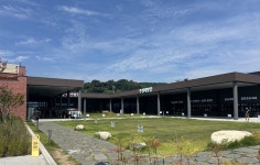 귀국 행 내용 무, AI가 만들어준 동영상 외 브이로그 - 202507세부, 3대가족여행 - 거문고선녀 귀국 행 내용 무, AI가 만들어준 동영상 외... 