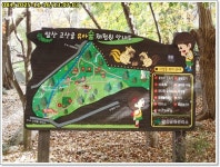 큰골-강당골-고산골 주변등로 5차 종합편 (25.12.07) - 산행후기란... (대구) 앞산자락 ; 큰골-강당골-고산골 주변등로 5차 종합편 (25.12.07)