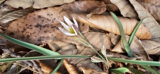 《100대명산 75회차 변산국립공원 세나》 - ●-100대명산 산행기... 자유인산악회(☎02-834-1777) 《100대명산 75회차 변산국립공원 세나》