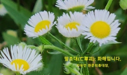 ＜참 좋은＞- 친구도 무촌이다!. - ○-----예쁜 자유글 - 자유인산악회(☎02-834-1777) ＜참 좋은＞- 친구도 무촌이다!.