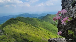 ＜소백도솔봉＞- 죽령~삼형제봉~도솔봉~묘적령 자유인 백두26기... 자유인산악회(☎02-834-1777) ＜소백도솔봉＞- 죽령~삼형제봉... 