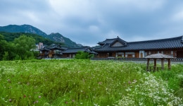 은평 한옥마을 - ――······· 자연풍경 사진 - 너에게 편지를 은평 한옥마을