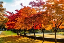 양재 문화예술 공원 - ――······· 자연풍경 사진 - 너에게 편지를 양재 문화예술 공원