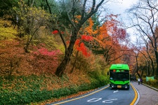 님산 도서관 -냠측 순환로 단풍길 - ――······· 자연풍경 사진 - 너에게 편지를 님산 도서관 -냠측 순환로 단풍길