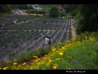 고창 청녹원 - ――······· 자연풍경 사진 - 너에게 편지를 고창 청녹원