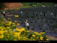 고창 청녹원 - ――······· 자연풍경 사진 - 너에게 편지를 고창 청녹원