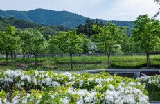 청계산 수변공원 - ――······· 자연풍경 사진 - 너에게 편지를 청계산 수변공원