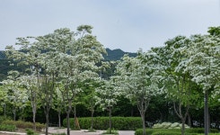 청계산 수변공원 - ――······· 자연풍경 사진 - 너에게 편지를 청계산 수변공원