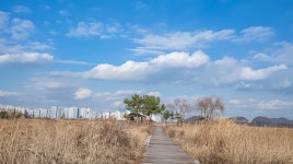 소래습지 생태공원 - ――······· 자연풍경 사진 - 너에게 편지를 소래습지 생태공원