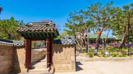 덕수궁 모란 - ――······· 자연풍경 사진 - 너에게 편지를 덕수궁 모란
