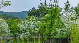 청계산 수변공원 - ――······· 자연풍경 사진 - 너에게 편지를 청계산 수변공원