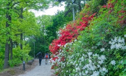 수리산 초막골생태공원 - ――······· 자연풍경 사진 - 너에게 편지를 수리산 초막골생태공원