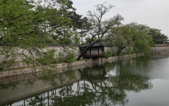경복궁 향원정 경회루 - ――······· 자연풍경 사진 - 너에게 편지를 경복궁 향원정 경회루