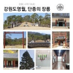 장릉/무명초 - ――······· 삶의♡ 향기실 - 너에게 편지를 장릉/무명초