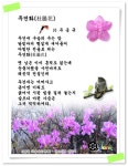 두견화(杜鵑花) - 주응규 & 카페회원의 詩 - ――······· 감동詩 사랑詩 - 너에게 편지를 두견화(杜鵑花) - 주응규 & 카페회원의 詩