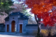 호암미술관의 늦가을 - ――······· 자연풍경 사진 - 너에게 편지를 호암미술관의 늦가을