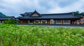 은평 한옥마을 - ――······· 자연풍경 사진 - 너에게 편지를 은평 한옥마을