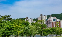 청계산 수변공원 - ――······· 자연풍경 사진 - 너에게 편지를 청계산 수변공원