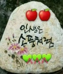 그러나 더 좋은것은,,, - ――······· 오늘의 명언실 - 너에게 편지를 그러나 더 좋은것은,,,