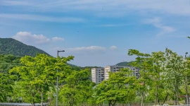 청계산 수변공원 - ――······· 자연풍경 사진 - 너에게 편지를 청계산 수변공원