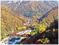 백암산백양사 - ――······· 자연풍경 사진 - 너에게 편지를 백암산백양사